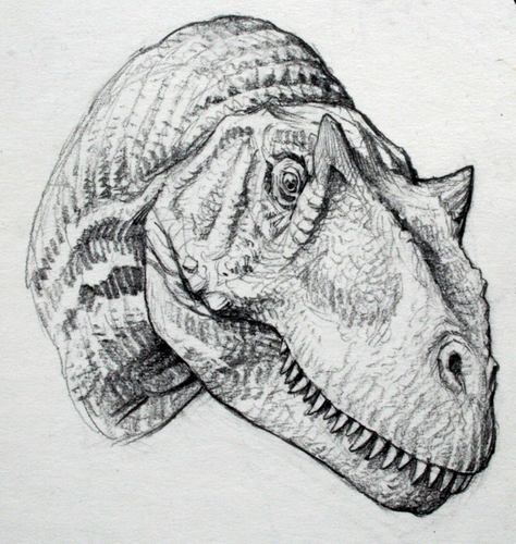 Allosaurus Head.sm