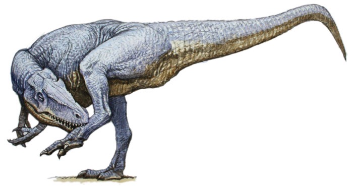 Allosaurus Itch.vig.sm