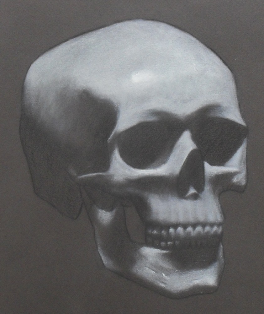 beestonskull