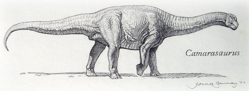 camarasaurus.sm