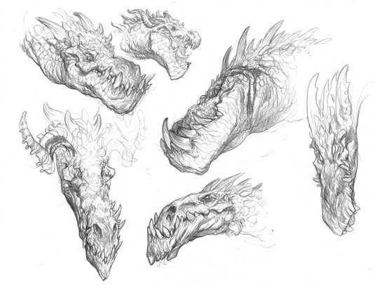 dragon-expressions