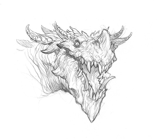 dragon-sketch