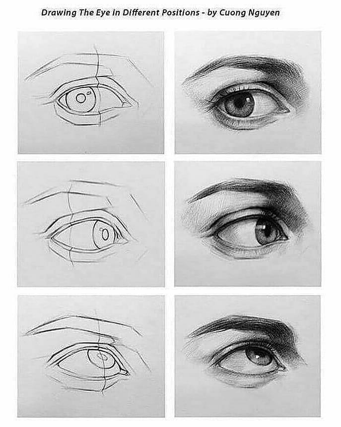 Eye Different Positions