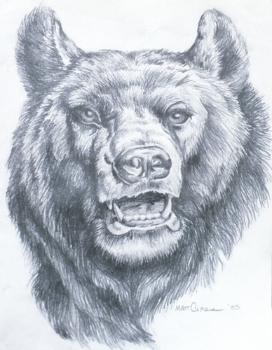 grizzlybearpencil