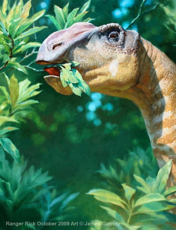 Gryposaurus.vsm