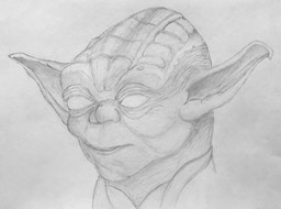 Hadley Meldrum Yoda