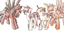 heatherkellmerponies