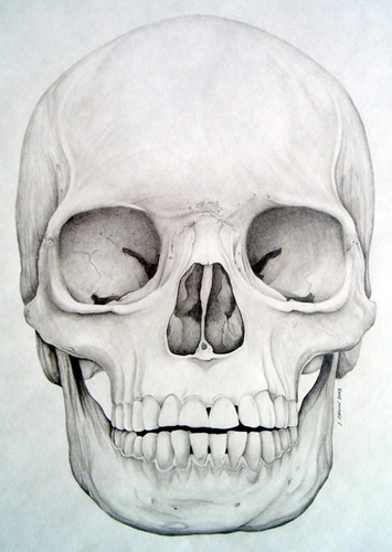 humanskull