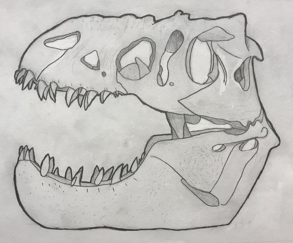 Hunter Carrion T-Rex Skull