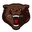 ist2_7570572-bear-head-mascot.jpg