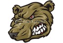 ist2_8824898-bear-mascot.jpg