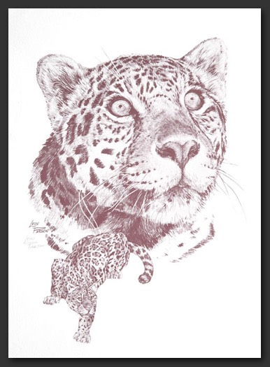 jaguar