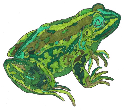 jennaleecalvinmonofrog