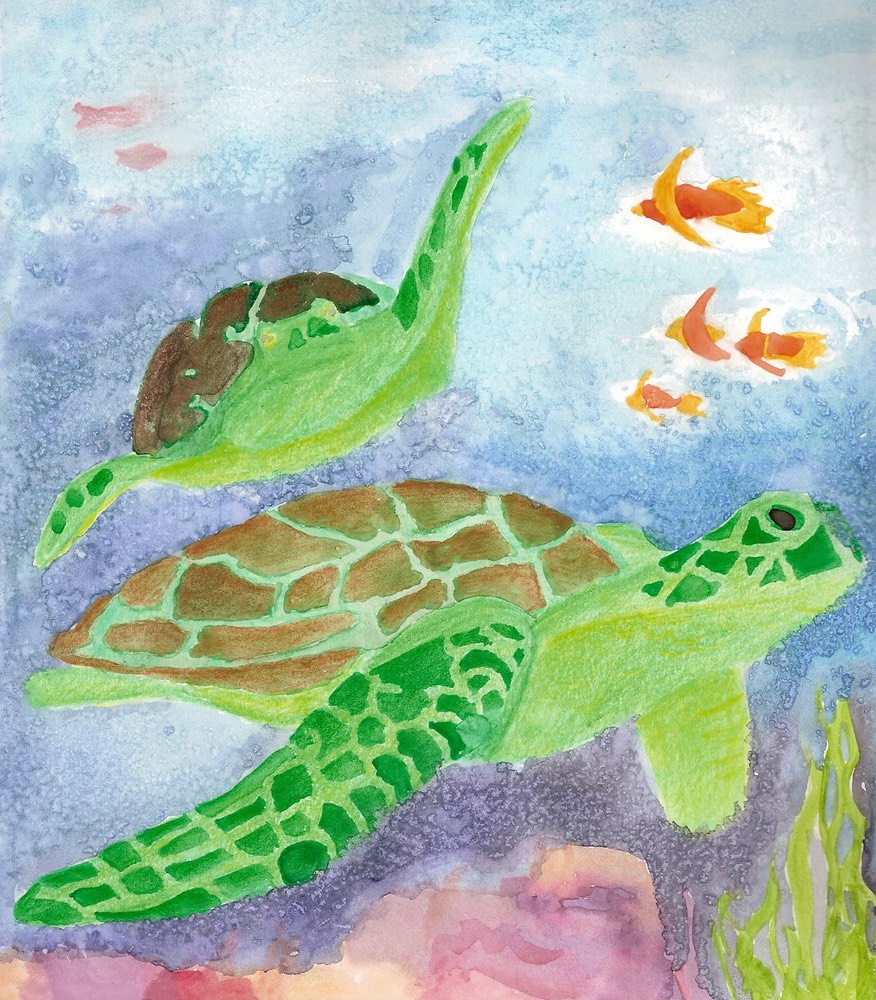 jennaleewatercolorturtles