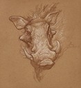 justin-gerard-tDn01-Warthog-Study01-e