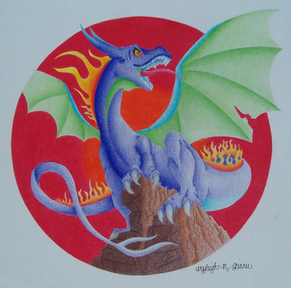 kayleighskinnerdragon copy