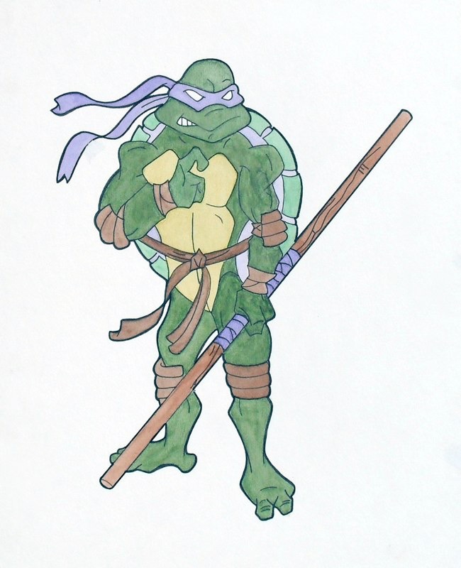 mikaelacharlesworthturtle