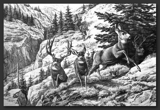 MtMenPackMules&Mulies-01