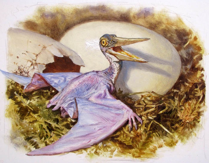 Pteranodon+Hatchling.sm