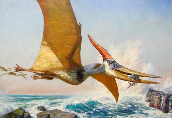 Pteranodon.sm