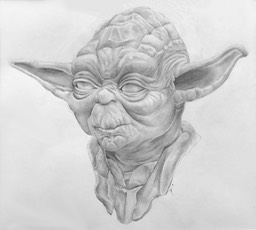 Tay Kim Yoda